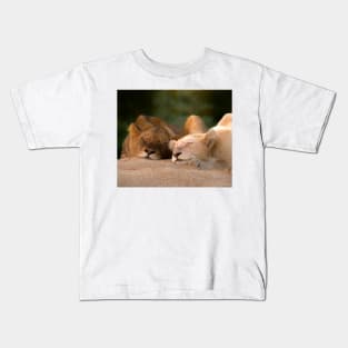 Sleeping lions Kids T-Shirt